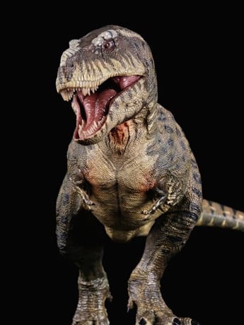 Tyrannosaurus Rex Kiss (Island Ver.) 1/35 Scale Replica Gallery Image 2