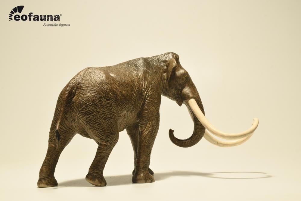 Columbian Mammoth 1/35 Scale Replica Gallery Image 5