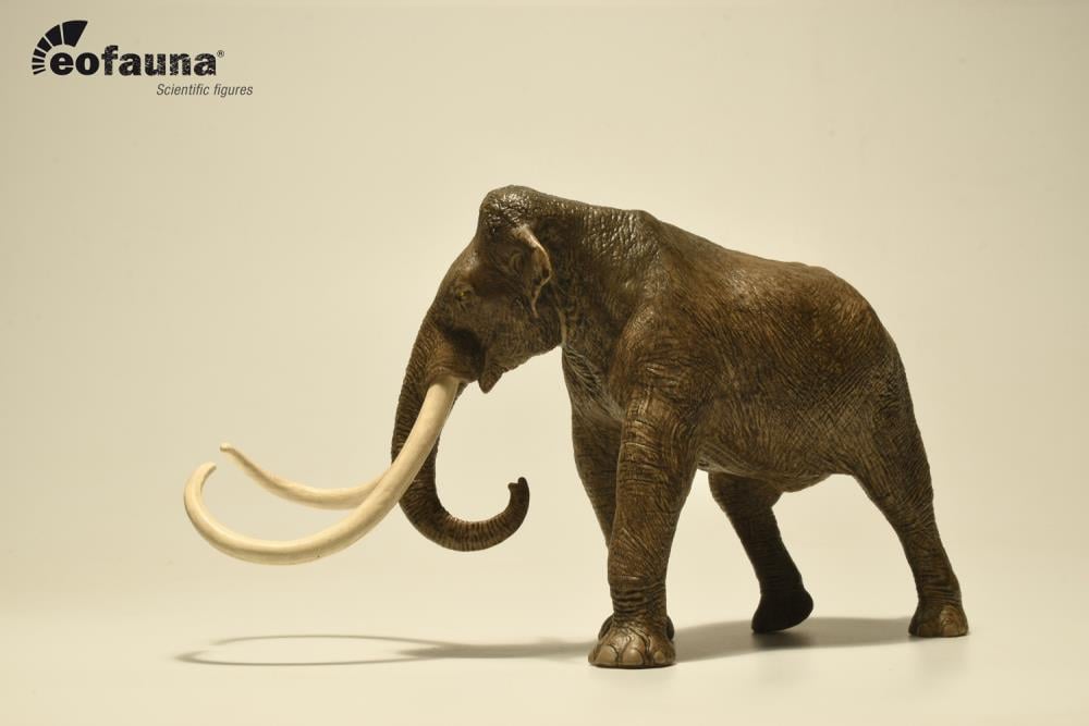 Columbian Mammoth 1/35 Scale Replica Gallery Image 4