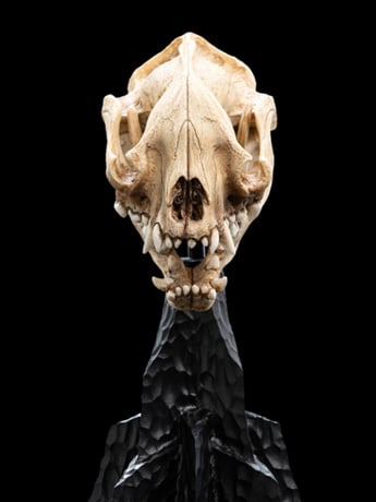 The Lord of the Rings Skull of a Warg Miniature Skull Replica Gallery Image 2
