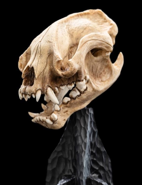 The Lord of the Rings Skull of a Warg Miniature Skull Replica Gallery Image 11