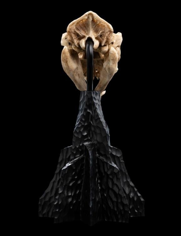 The Lord of the Rings Skull of a Warg Miniature Skull Replica Gallery Image 7