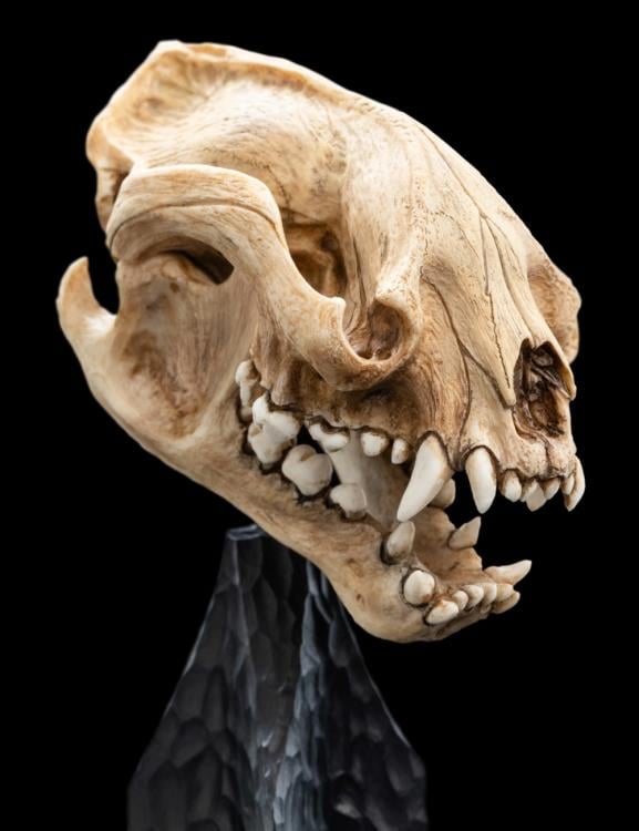 The Lord of the Rings Skull of a Warg Miniature Skull Replica Gallery Image 13