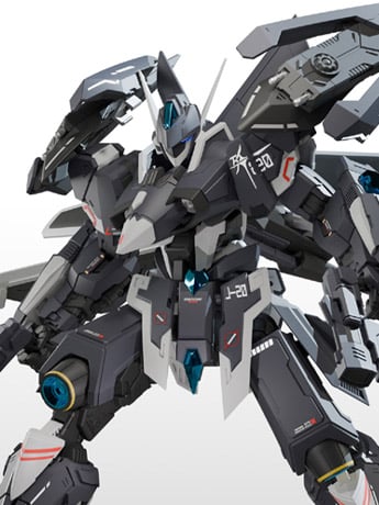 Dragon Soul Fighter J-20 Cangwei Model Kit