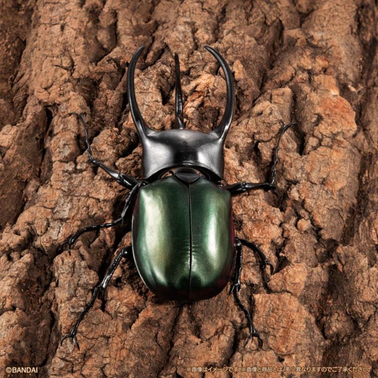 The Diversity of Life on Earth Advanced Caucasus Beetle