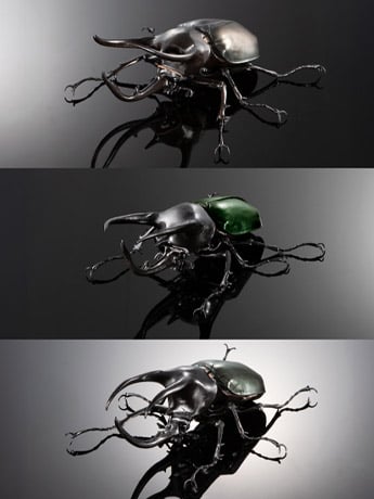 The Diversity of Life on Earth Advanced Caucasus Beetle