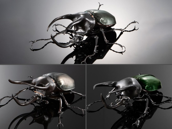 The Diversity of Life on Earth Advanced Caucasus Beetle