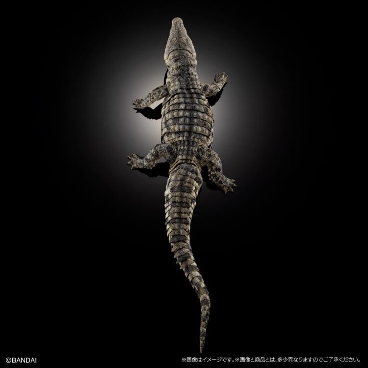 The Diversity of Life on Earth Ultimate Nile Crocodile (Light