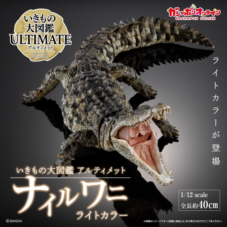 The Diversity of Life on Earth Ultimate Nile Crocodile (Light