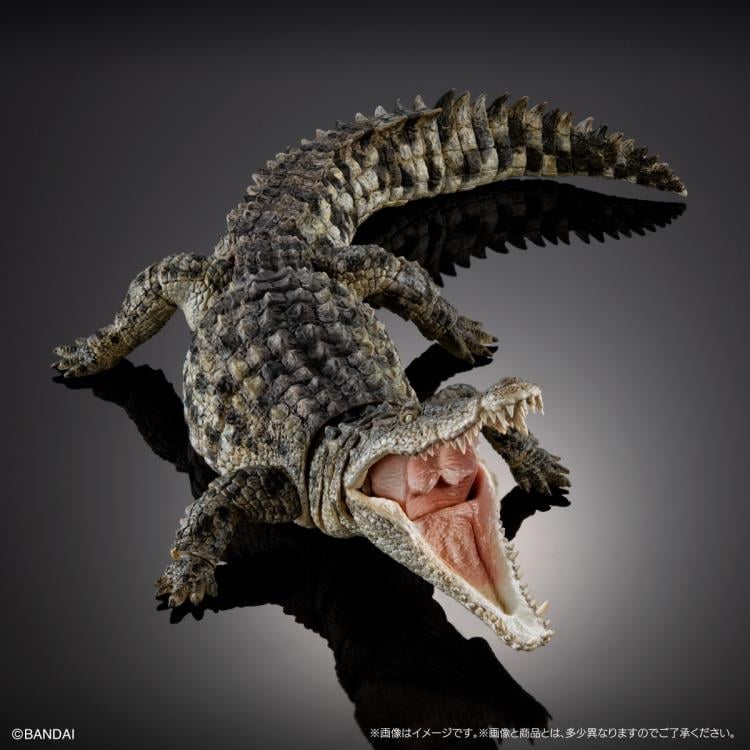 The Diversity of Life on Earth Ultimate Nile Crocodile (Light