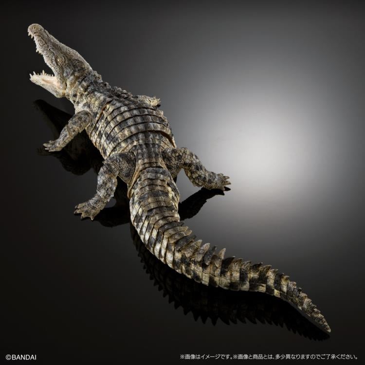 The Diversity of Life on Earth Ultimate Nile Crocodile (Light