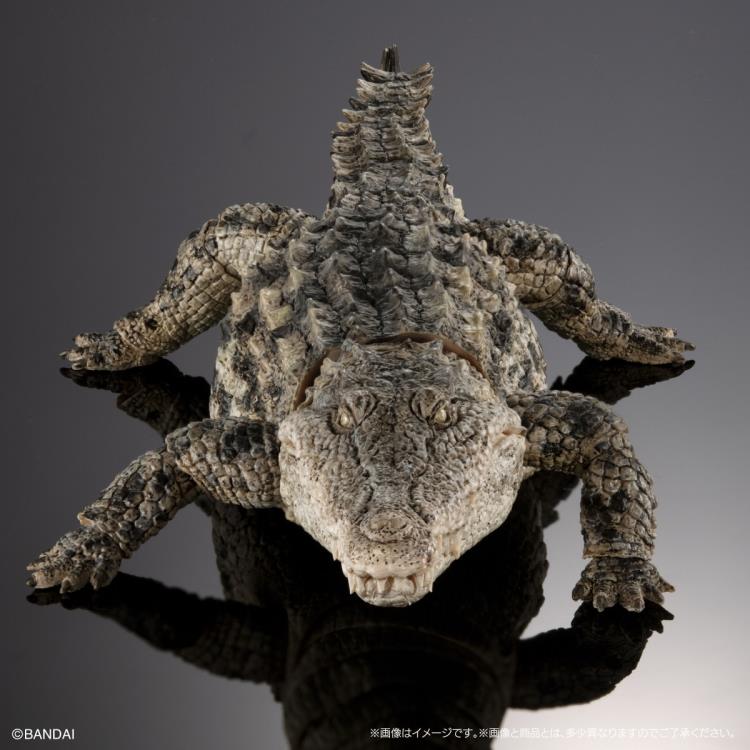 The Diversity of Life on Earth Ultimate Nile Crocodile (Light