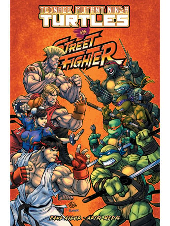 Teenage Mutant Ninja Turtles vs. Street Fighter Gallery Image 2