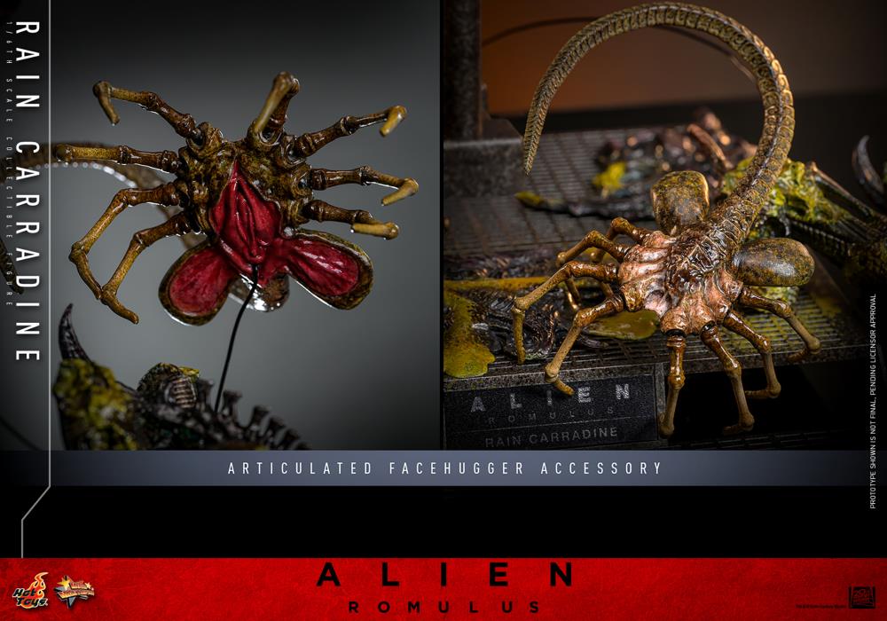 Alien: Romulus MMS793 Rain Carradine 1/6th Scale Collectible Figure Gallery Image 22