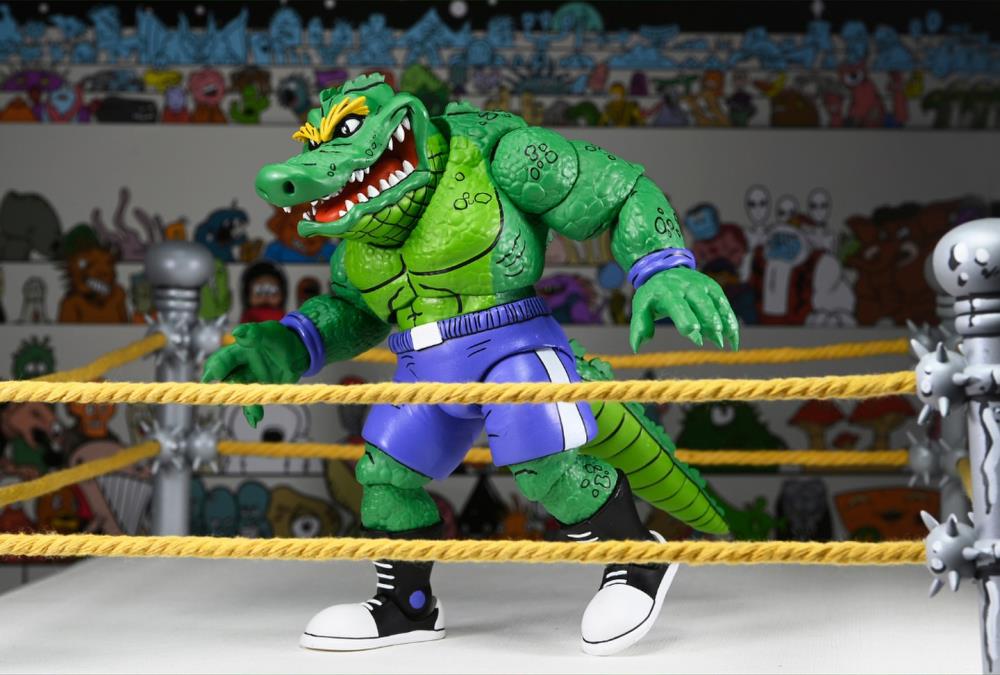 Teenage Mutant Ninja Turtles Adventures Stump Wrestling
