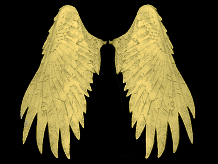 Mythic Legions Wings Wave 01 - Gold Gallery Image 1