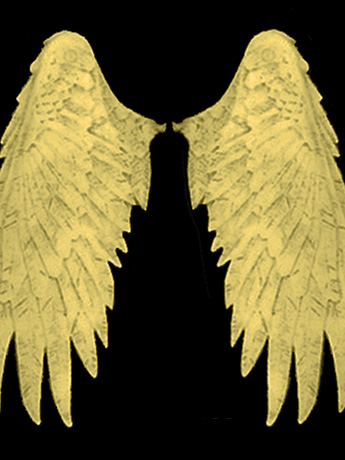 Mythic Legions Wings Wave 01 - Gold Gallery Image 2