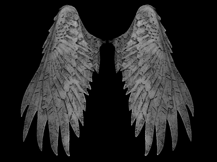 Mythic Legions Wings Wave 02 - Black Glossy Gallery Image 1