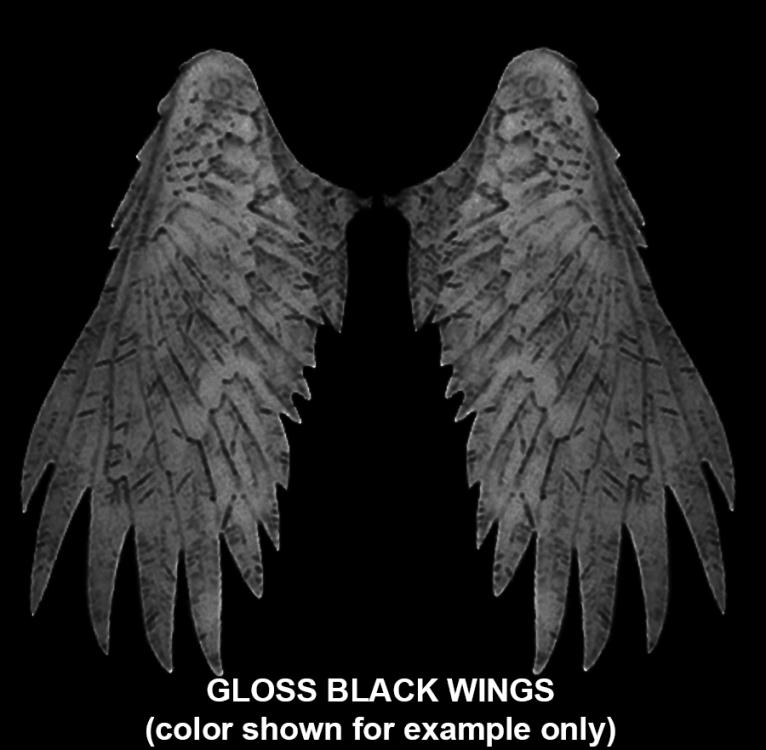 Mythic Legions Wings Wave 02 - Black Glossy Gallery Image 3