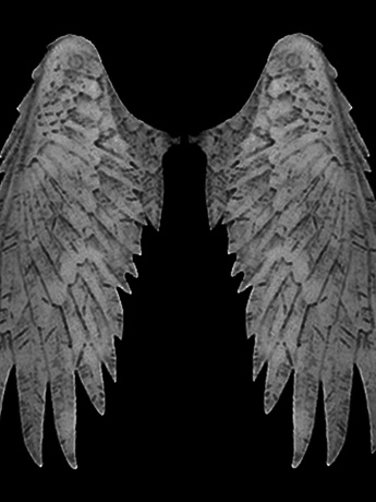 Mythic Legions Wings Wave 02 - Black Glossy Gallery Image 2