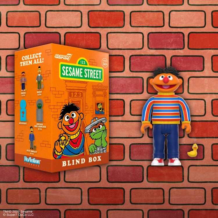 Sesame Street ReAction Blind Box Wave 03 Box of 12 Random Figures Gallery Image 7