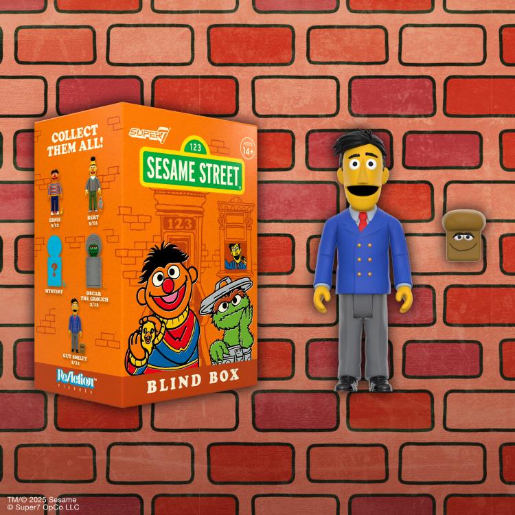 Sesame Street ReAction Blind Box Wave 03 Box of 12 Random Figures Gallery Image 8
