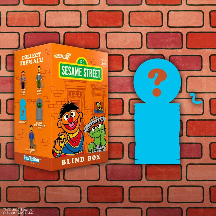 Sesame Street ReAction Blind Box Wave 03 Box of 12 Random Figures Gallery Image 10