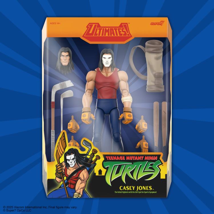 Teenage Mutant Ninja Turtles ULTIMATES! Casey Jones (2003 Animated Series) Action Figure Gallery Image 5