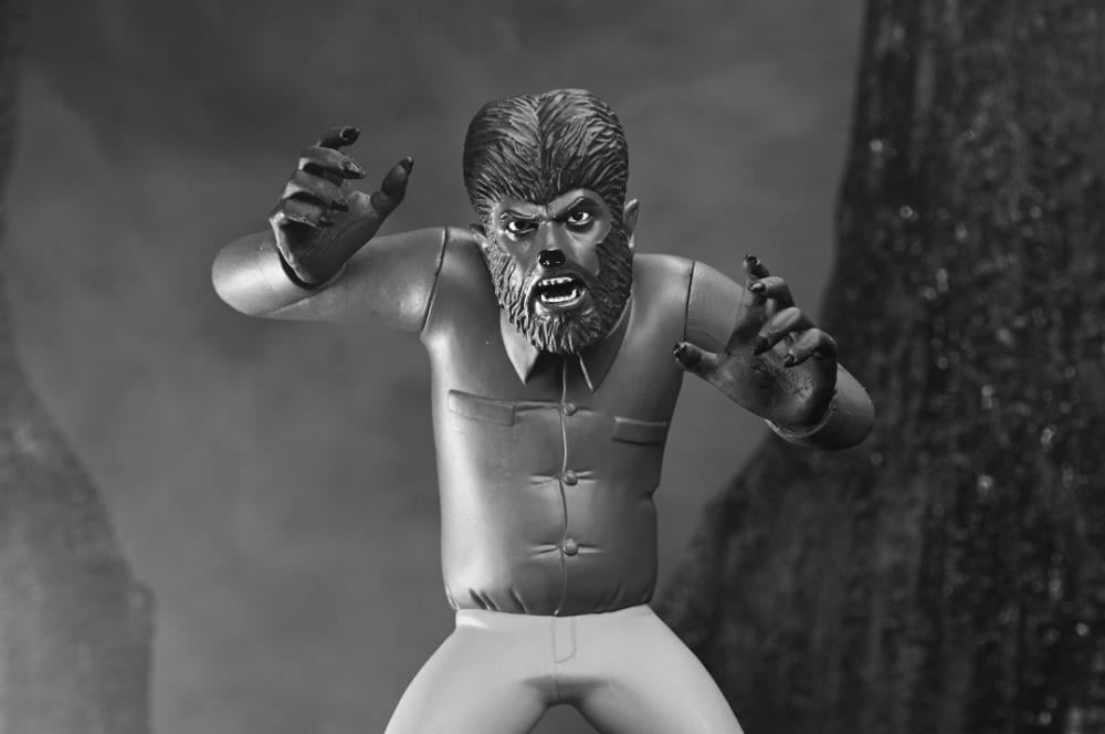 Universal Monsters Toony Terrors Silver Screen Edition Set of 4 Figures Gallery Image 14