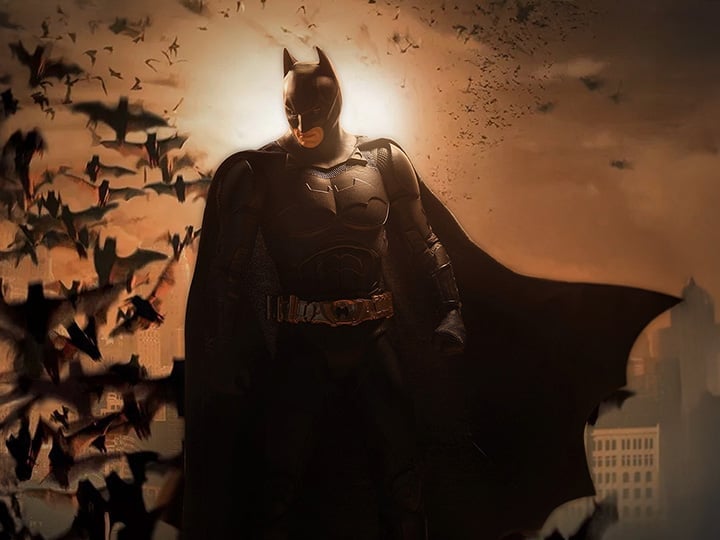 Batman Begins DC Multiverse Batman Action Figure Gallery Image 1