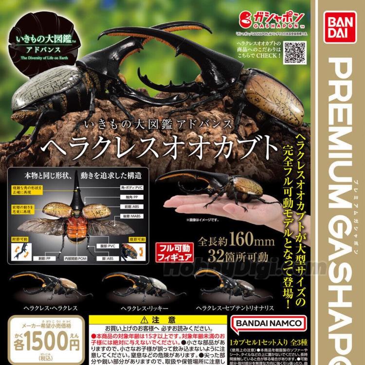 The Diversity of Life on Earth Advanced Hercules Beetle Bag of 5