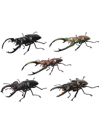 The Diversity of Life on Earth Display Model Collection Stag