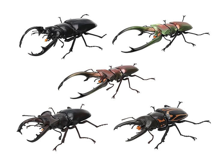The Diversity of Life on Earth Display Model Collection Stag Beetle Bag of 7 Random Capsules Gallery Image 1