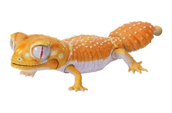 The Diversity of Life on Earth Reptiles Smooth Knob-Tailed Gecko & Leopard Gecko Bag of 7 Random Capsules Gallery Image 5