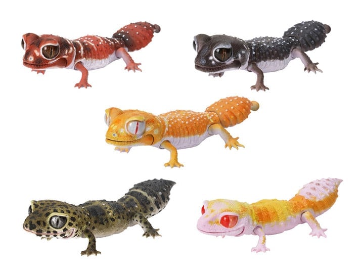 The Diversity of Life on Earth Reptiles Smooth Knob-Tailed Gecko & Leopard Gecko Bag of 7 Random Capsules Gallery Image 1