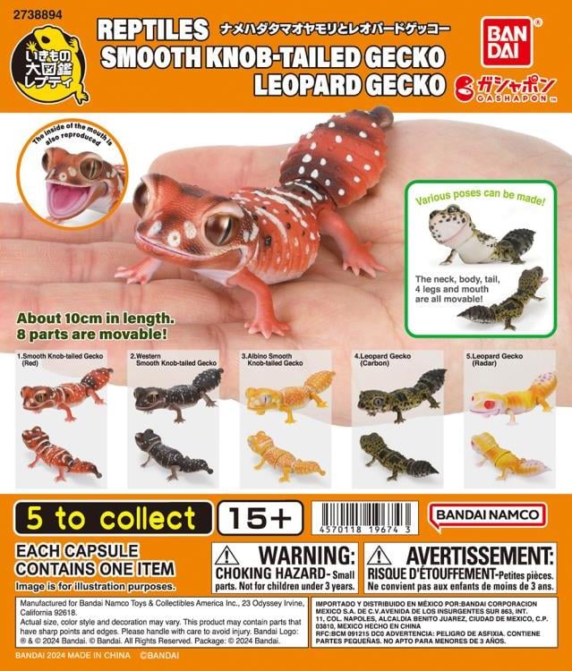 The Diversity of Life on Earth Reptiles Smooth Knob-Tailed Gecko & Leopard Gecko Bag of 7 Random Capsules Gallery Image 8