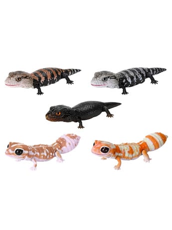 The Diversity of Life on Earth Reptiles Blue-Tongued Lizard