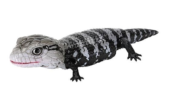 The Diversity of Life on Earth Reptiles Blue-Tongued Lizard
