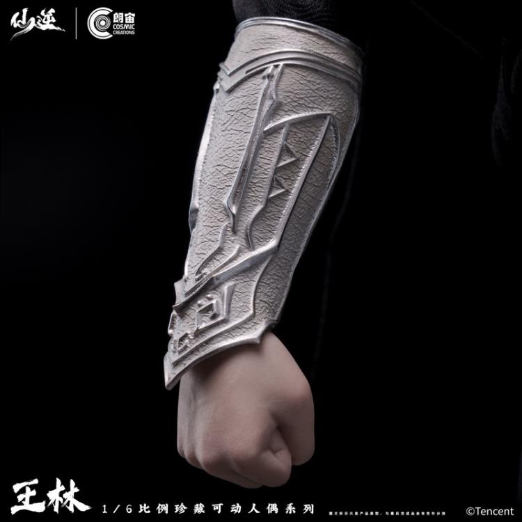 Renegade Immortal Wang Lin (Deluxe Ver.) 1/6 Scale Action Figure Gallery Image 18