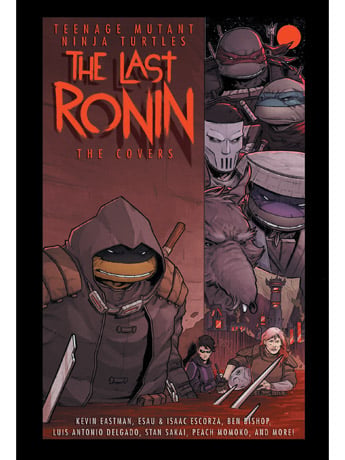 Teenage Mutant Ninja Turtles: The Last Ronin - The Covers Gallery Image 2