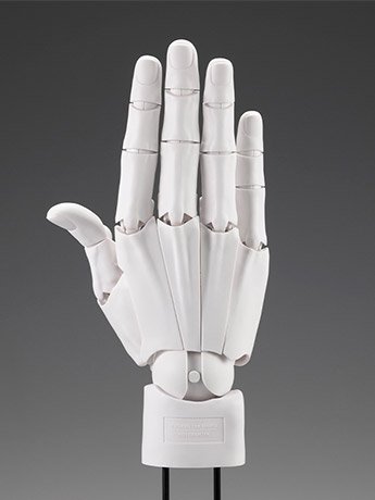 Takahiro Kagami Artist Support Item Hand Model (Men's Right Hand