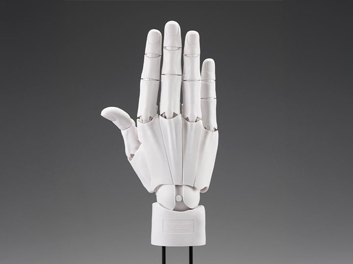 Takahiro Kagami Artist Support Item Hand Model (Men's Right Hand
