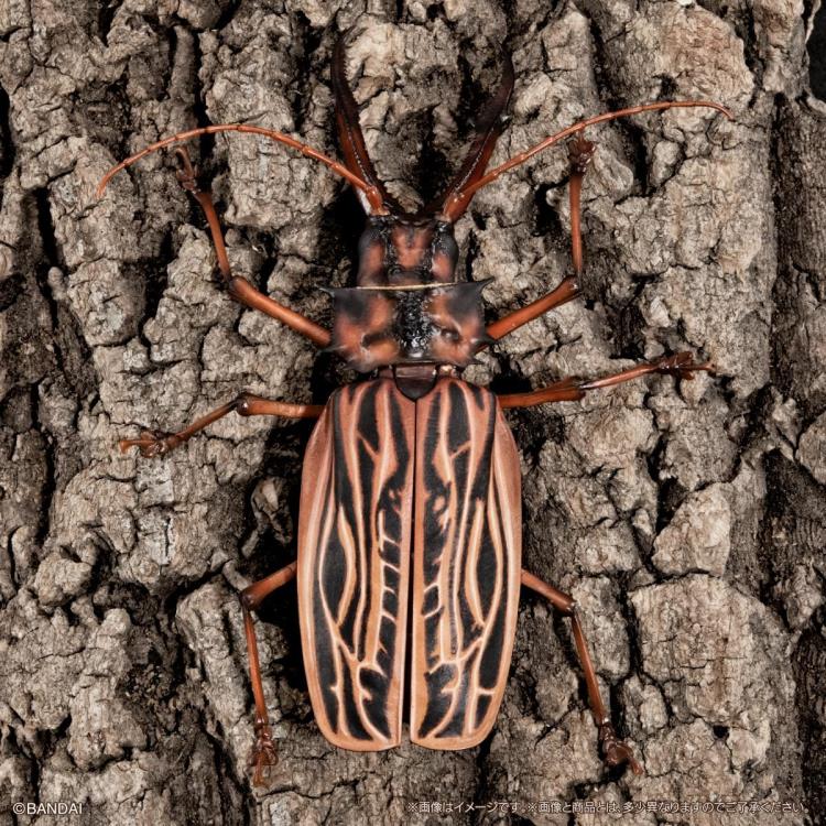 The Diversity of Life on Earth Advance Sabertooth Longhorn Beetle & Tiger Beetle Exclusive Action Figure Set Gallery Image 10