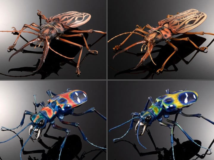 The Diversity of Life on Earth Advance Sabertooth Longhorn Beetle & Tiger Beetle Exclusive Action Figure Set Gallery Image 1