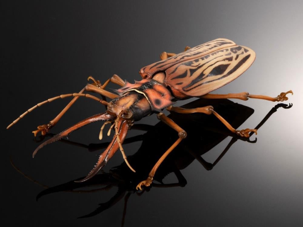 The Diversity of Life on Earth Advance Sabertooth Longhorn Beetle & Tiger Beetle Exclusive Action Figure Set Gallery Image 4