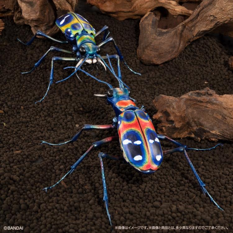 The Diversity of Life on Earth Advance Sabertooth Longhorn Beetle & Tiger Beetle Exclusive Action Figure Set Gallery Image 11