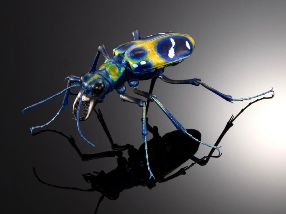 The Diversity of Life on Earth Advance Sabertooth Longhorn Beetle & Tiger Beetle Exclusive Action Figure Set Gallery Image 5