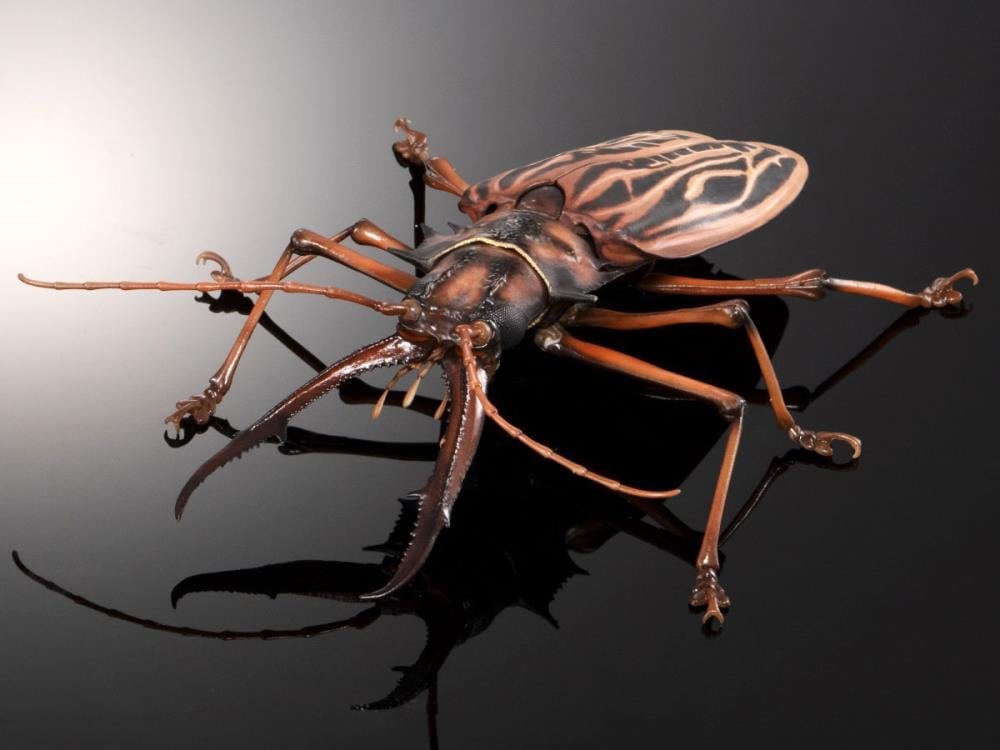 The Diversity of Life on Earth Advance Sabertooth Longhorn Beetle & Tiger Beetle Exclusive Action Figure Set Gallery Image 3