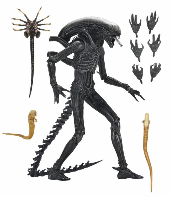 Alien: Romulus Ultimate Xenomorph XX121 Action Figure Gallery Image 13