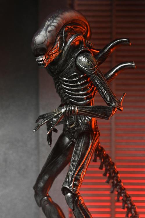 Alien: Romulus Ultimate Xenomorph XX121 Action Figure Gallery Image 9